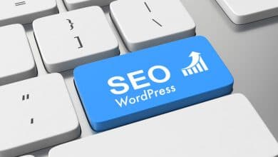 SEO Uyumlu WordPress temalar