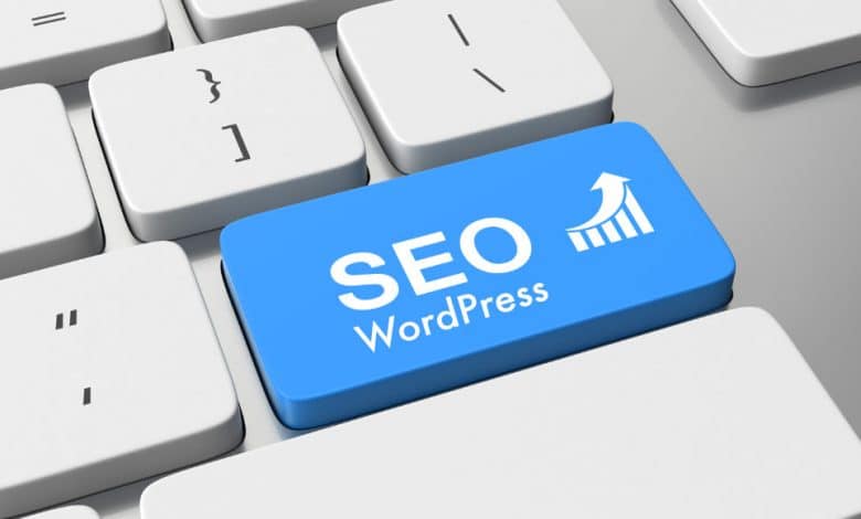 SEO Uyumlu WordPress temalar